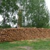 Byggnaderna på tegelbruket